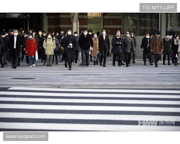 东京MX电视台直播：实时追踪日本首都圈最新动态
